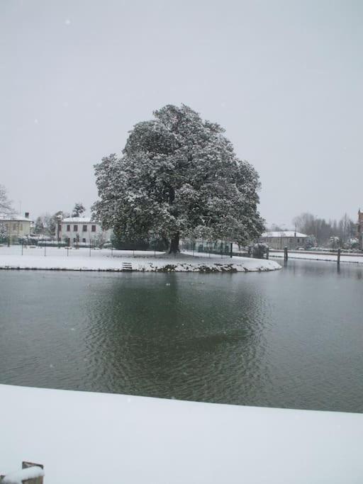 Villa Olanda มิรา ภายนอก รูปภาพ